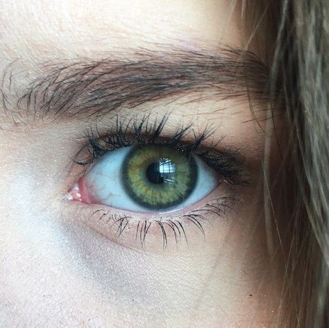 green eyes like my daughter's.... Pale Green Eyes Aesthetic, Learn Anatomy, Sharp Eyes, Green Eye, Wallpaper Tumblr, Eye Photography, Aesthetic Eyes, Human Eye, Gorgeous Eyes