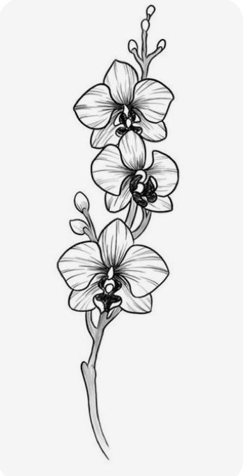 Typewriter Tattoo, Orchid Flower Tattoos, Orchid Drawing, Go Tattoo, Floral Art Paintings, Magic Runes, Animal Tattoo Ideas, Orchid Tattoo, White Ink Tattoo