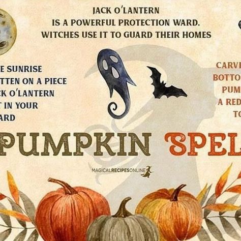 Magical Recipes Online on Instagram: "Guys the era of Pumpkins 🎃 is upon us https://www.magicalrecipesonline.com/2020/10/5-pumpkin-spells.html #magicalrecipesonline #halloween #samhain #pumpkins #pumpkin" Pumpkin Spells, Magical Recipes, Samhain, Online Food, Book Of Shadows, Jack O Lantern, Pumpkins, Witch, Halloween