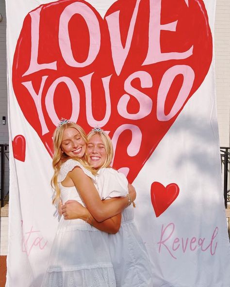 Gameday Banner, Love Banner, Sorority Banner, Sorority Big Little, Pi Phi, Zeta Tau Alpha, Sorority Girl, Sorority Recruitment, Alpha Chi