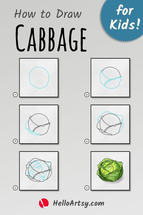 Draw cabbage for kids! | how to draw cabbage in 6 easy steps. | Follow along with each illustration to learn how to draw how to draw cabbage. Ideal for kids who want to learn how to draw! Cabbage Drawing Simple, How To Draw Vegetables, Cabbage Drawing, Cabbage Illustration, Vegetable Drawing, Fruit Artwork, Farm Projects, Easy Drawings For Kids, Food Drawing