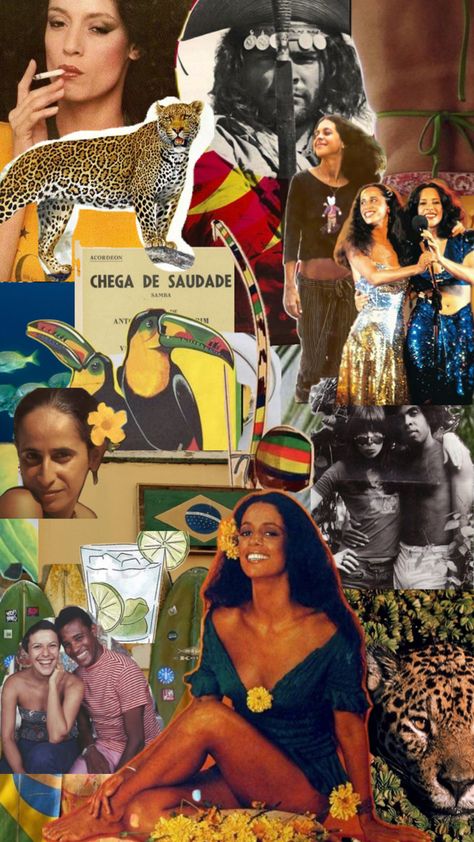 #brasil #brazil #tropicalia #tropicalismo #soniabraga #galcosta #mpb #glauberrocha #summer #verão Sonia Braga, Samba, Dream Life, Brazil, Singing, Festival, Collage, Bahia