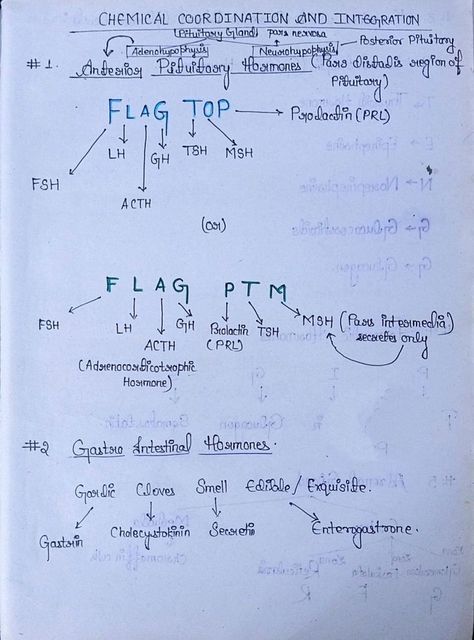 Ncert Notes For Neet, Neet Ncert Highlights, Chemical Control And Coordination Notes, Bio Class 11, Chemical Coordination Notes, Breathing And Exchange Of Gases Notes For Neet, Mnemonics For Biology Neet, Chemical Coordination And Integration Notes, Biology Neet Tricks