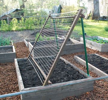 great idea.. an old 1920's ? bed spring as a cucumber trellis!! that's creative gardening! We used the wire frame from a modern box spring and it worked great! Cucumber Trellis, Garden Veggies, Veg Garden, Creative Gardening, Garden Trellis, Garden Structures, Veggie Garden, Growing Food, Edible Garden