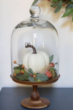 Fall Cloche Ideas, Modern Fall Wreath, Thanksgiving Decorations For Home, Glass Cloches, Cloche Decor, Creative Pumpkin Decorating, Decoration Shabby, Tafel Decor, Creative Pumpkins