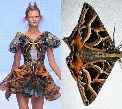 Love this!  from Alexander McQueen's 2010 Spring/Summer runway show, “Plato's Atlantis. #InterestingThings Moth Types, 2010 Fashion Trends, Fashion Show Themes, Nature Inspired Fashion, Moda Do Momento, Butterfly Costume, Summer Runway, Ellie Saab, Fashion Inspiration Design