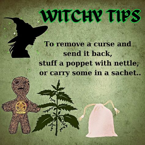 ✨ Embrace your inner witch! 🔮 Claim your power and share your magic with these enchanting witchy tips. Let's spread the spellbinding wisdom together! #witchtips #witchcraft #witch #witchesofinstagram #witchlife #witchy #witchythings #witches #spells #witchyvibes #magick #witchvibes #tarot #crystals #witchtok #witchylife Italian Witchcraft, Fairy Plants, Tarot Crystals, Magical Herbs Witchcraft, Herbs Witchcraft, Crystal Knowledge, Witches Spells, Grey Witch, Witchy Quotes