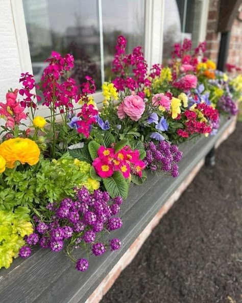 Planter Boxes Flowers, Spring Porch Decor, Porch Flowers, Window Box Flowers, Container Gardening Flowers, Flower Pots Outdoor, Garden Containers, Home Decor Ideas Bedroom, Container Flowers