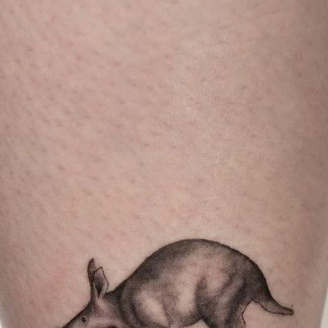 emmabundonis on Instagram: "Little aardvark for Helen x

#aardvark #aardvarktattoo #tattoo #tattoos #tattooartist #blackandgreytattoo #blackandgrey #small #smalltattoo #mini #minimalist #minitattoo #art #artist #love #london #londonart #londonartist #londontattooartist #emmabundonistattoo #throughmythirdeyetattoo #legtattoo #swashdrive" Love London, London Tattoo, London Artist, Eye Tattoo, London Art, Mini Tattoos, Black And Grey Tattoos, Leg Tattoos, Small Tattoos