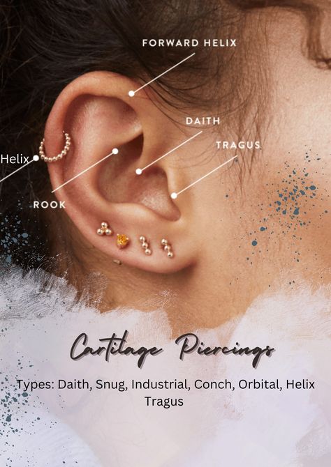 Some locations of the cartilage piercings Front Cartilage Piercing, Thirds And Cartilage Piercing, Cartledge Piercing Ideas Hoop, How To Pierce Your Cartilage At Home, Mejuri Cartilage, Cartilage Piercings, Types Of Piercings, Forward Helix, Cartilage Piercing