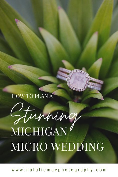 Micro Wedding Michigan, Michigan Beaches, Michigan Wedding Venues, Belle Isle, 2022 Wedding, Micro Wedding, Planning Process, Flower Farm, Time To Celebrate