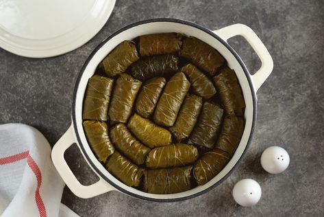 BEST Greek Vegetarian Stuffed Grape Leaves (Dolmades Yialantzi) Greek Dolmades, Dolmades Recipe, Greek Vegetarian, Stuffed Grape Leaves, Recipe Vegetarian, Lemon Mint, Vegetable Stock, Meatless Meals, Greek Recipes