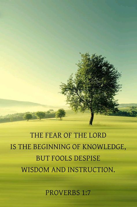 Proverbs 1 7 Knowledge, Fear Of The Lord Is Beginning Of Wisdom, The Fear Of The Lord Is The Beginning, Proverbs 1:7, Proverbs 1 7, Proverbs 1, Galatians 5 16, The Fear Of The Lord, Jeremiah 29 13