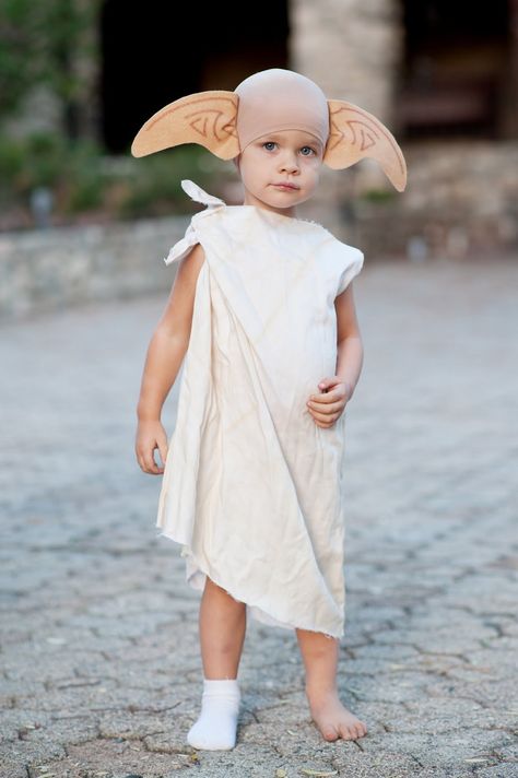 Dobby Costume Diy, Diy Dobby Costume, Dobby Halloween Costume, Dobby Costume, Golden Retriever Birthday, Harry Potter Halloween Costumes, Halloween Parejas, Dobby Harry Potter, Harry Potter Halloween