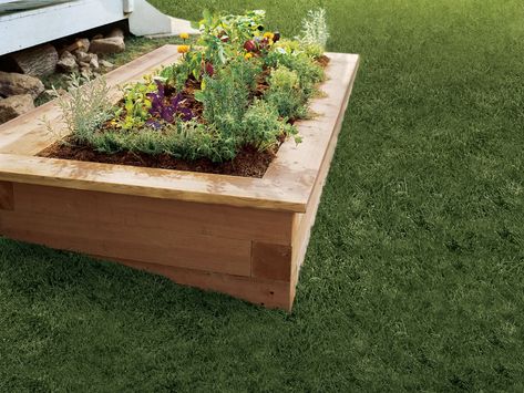 How to Build A Raised Planting Bed - This Old House Timber Flower Bed Border, Plants For Raised Beds, Eagle Project, Raised Garden Bed Plans, Landscape Timbers, Raised Planter Boxes, Raised Flower Beds, Gardening Projects, Building A Raised Garden