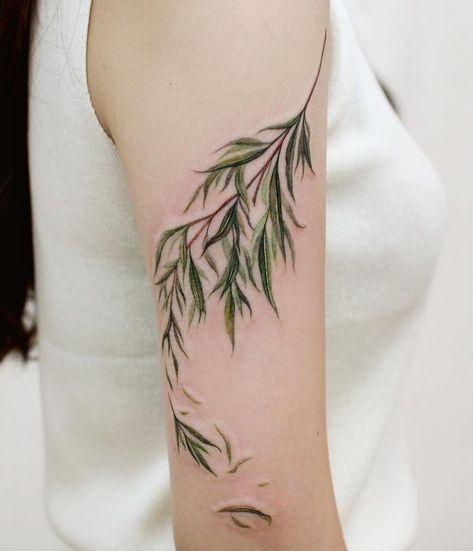 Tattoo Weeping Willow, Weeping Willow Tree Branch Tattoo, Wishbone Tattoo Placement, Willow Tree Branch Drawing, Weeping Willow Tattoo Sleeve, Delicate Tree Tattoos For Women, Shoulder Foliage Tattoo, Willow Tree Shoulder Tattoo, Willow Branches Tattoo