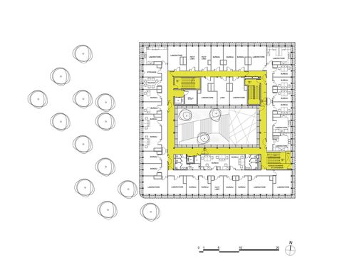 BIOPOLE Biotech Business Incubator | Périphériques Architectes   #Atrium #Biotech #Canopy #France #Glass #LucBoegly #PériphériquesArchitectes #Rennes #Staircase #Steel #Timber Business Incubator, Senior Project, Thick Skin, Concept Board, Ground Floor Plan, Timber Frame, Presentation, Floor Plans, Flooring