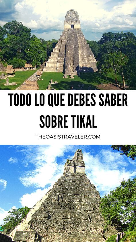 Todo lo que debes saber antes de ir a Tikal para que aproveches al máximo tu visita a estas ruinas mayas en Guatemala. Tikal Guatemala, Tikal, Guatemala, Monument Valley, Monument, Star Wars, Natural Landmarks, Travel, Nature