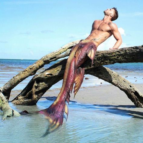 Male Mermaid, Mermaid Stories, Mermaid Photography, Mermaid Man, Fantasy Mermaids, Mermaid Drawings, Unicorns And Mermaids, Real Mermaids, Mermaid Tale