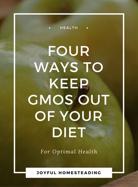 Non GMO foods. If you are aware of the dangers of GMOs, or genetically modified organisms, you may be wondering what are GMO foods. Here are four tips for obtaining foods that do not have GMOs. Organic Non Gmo Recipes, Non Gmo Recipes, Non Gmo Foods, Genetically Modified Organisms, Genetically Modified Food, Gmo Foods, Kidney Cleanse, Natural Healing Remedies, Herbal Healing