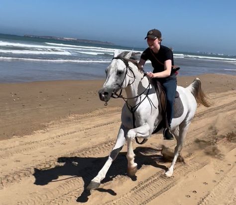 Galloping down the beach Horses At The Beach, Horse Riding At The Beach, Horse Back Riding On Beach, Horse Riding Holiday, Riding Holiday, Horse Galloping On Beach, Arabian Horse Running, Arabian Stallions, All About Horses