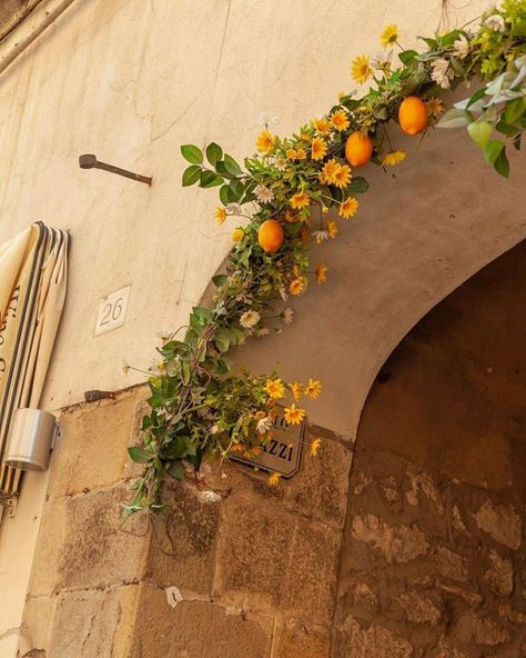 Dream Journaling, Tattoo Plant, Photographie Portrait Inspiration, Ig Feed, Orange Tree, Italian Summer, Northern Italy, Aesthetic Colors, Summer Feeling