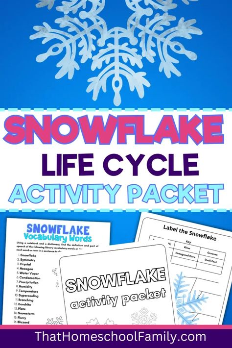 Snowflake Life Cycle Explained: Activity Packet Makes Winter Learning Fun! - That Homeschool Family Life Cycle Of A Snowflake Free Printable, Life Cycle Of A Snowflake, Snowflake Activity, Winter Kids Crafts, Symmetry Activities, Winter Lesson Plan, Life Cycles Activities, Art For Kids Hub, Free Homeschool Printables