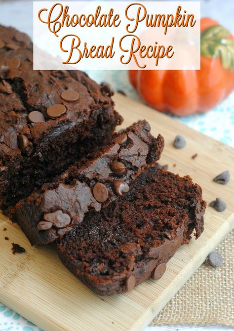 Chocolate Pumpkin Bread Recipe Chocolate Pumpkin Loaf, Dessert Bread Recipes, Recipe With Sour Cream, Chocolate Pumpkin Bread, Healthy Pumpkin Dessert, Chocolate Chip Bread, Pumpkin Chocolate Chip Bread, Pumpkin Recipe, Chocolate Pumpkin