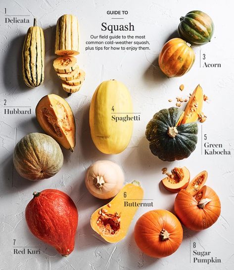 Our cheat sheet. How do you like to prepare squash? Tap the link in our bio for our field guide to the most common fall squash, plus tips… Thanksgiving Grocery List, Squash Zucchini Recipes, Delicata Squash, Sugar Pumpkin, Common Cold, Food Info, Veggie Side Dishes, Winter Squash, Squash Recipes