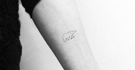 Fine line polar bear temporary tattoo, get it here ► Bear Fine Line Tattoo, Fine Line Polar Bear Tattoo, Simple Polar Bear Tattoo, Polar Bear Tattoos, Line Work Bear Tattoo, Line Animals, Polar Bear Tattoo, Tattoos Fine Line, Inner Forearm