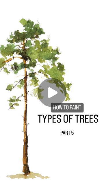 Pine Tree Painting Tutorials, Pine Tree Watercolor Painting, Water Color Trees, Watercolor Trees Tutorial, Painting Pine Trees, Pine Tree Watercolor, Types Of Pine Trees, How To Make Trees, Watercolor Pine Tree