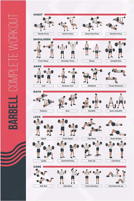 Exercise Poster, Dumbbell Exercises, Sanskrit Names, Lose Thigh Fat, Dumbell Workout, Barbell Workout, Workout Posters, Daily Exercise Routines, Major Muscles