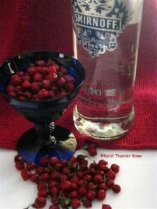 healthy healthy Rosehip Oil Recipes, Rosehip Recipes, Medicinal Herbs Remedies, Herb Tinctures, Tinctures Recipes, Medical Herbs, How To Make Rose, Rose Hips, Herbal Tinctures