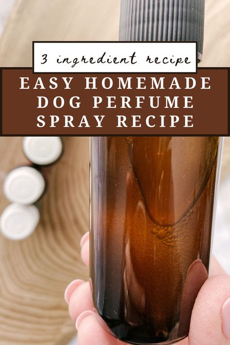 Making a homemade dog perfume spray using essential oils couldn’t be easier! It helps our beloved dogs smell a little better, whether that be from normal pet odor, the wet dog smell or just wanting to freshen up your dog’s coat. Diy Dog Perfume Sprays, Essential Oil Dog Spray, Dog Odor Spray, Dog Deodorizer Spray, Dog Deodorizer, Dog Perfume, Essential Oils Dogs, Dog Spray, Homemade Perfume