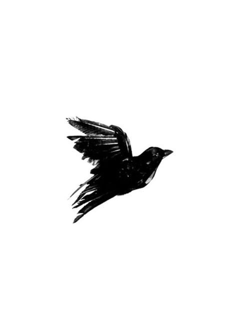 Blackbird Outline Tattoo, Seabird Tattoo, Gretchen Aesthetic, Blackbird Aesthetic, Blackbird Drawing, Blackbird Illustration, Blackbird Tattoo, Black Bird Tattoo, Yennefer Of Vengerberg