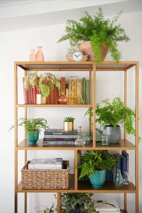 Gold Bookshelf, Unique Bookcase, Unique Bookshelves, Gardening Indoors, Beautiful Bookshelf, Cool Bookshelves, Framed Photos, Bookshelf Design, Bookshelves Diy