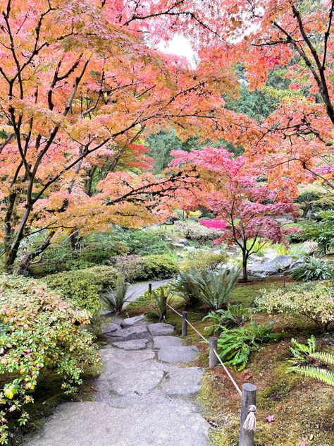 Seattle Japanese Garden – Olivia Michelle Seattle Autumn, Seattle Arboretum, Seattle Japanese Garden, Pnw Garden, Seattle Vacation, Japanese Plants, Washington Vacation, Seattle Travel, Washington Travel