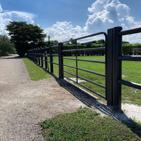 A metal ranch fence. Cattle Fence Ideas, Ranch Fence Ideas, Ranch Fence, Livestock Fence, Portable Fence, Ranch Fencing, Unusual Horse, Metal Cow, Pvc Fence