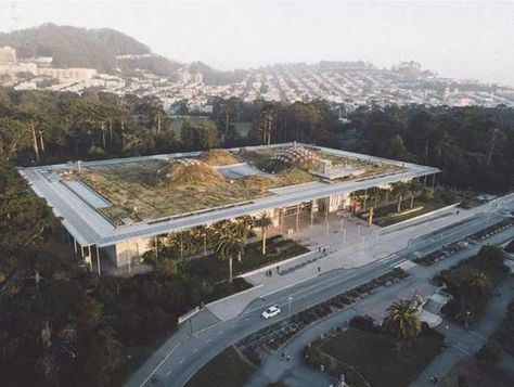 Photovoltaic Cells, California Academy Of Sciences, Day Trip From Paris, Living Roofs, San Francisco Museums, Golden Gate Park, Unique Buildings, Room With Plants, Green Roof