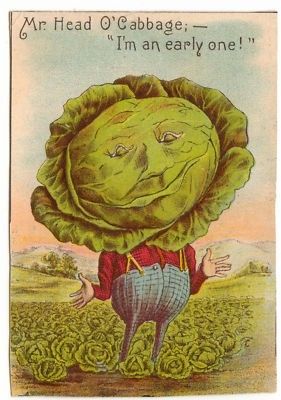 Mr. Head O'Cabbage Cabbage Head, Vintage Seed Packets, Illustration Vintage, Illustration Digital, Card Illustration, Vintage Labels, Vintage Ephemera, Vintage Cards, Vintage Postcards