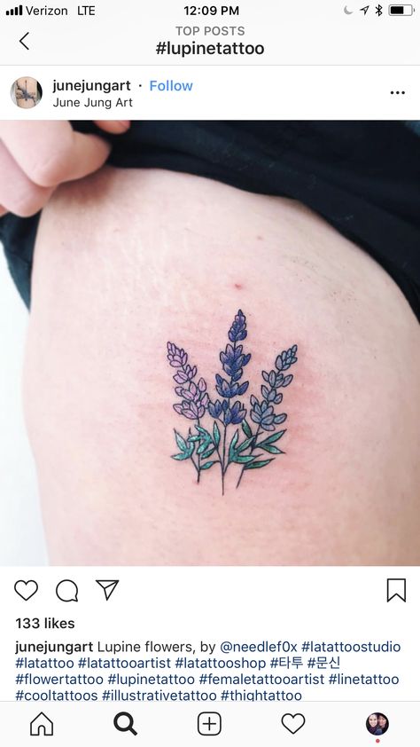 Texas Flower Tattoo, Blue Lupine Tattoo, Lupine Flowers Tattoo, Lupine Drawing Simple, Purple Lupine Tattoo, Lupin Tattoo, Lupine Tattoo, Alaskan Lupine Tattoo, Bluebonnet Tattoo