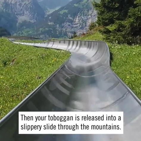 The Swiss Alps are best experienced in motion. Swiss Alps Summer, Swiss Alps Switzerland, Mountain Coaster, Switzerland Vacation, Historic Architecture, Royal Caribbean Cruise, Travel Humor, Switzerland Travel, Travel Bug