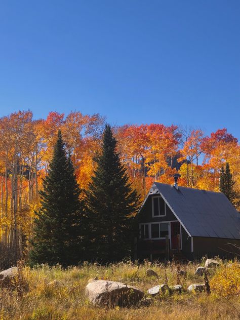 Houses In Autumn, Horizontal Fall Aesthetic, American Fall Aesthetic, Brandon Core Aesthetic, Summer To Fall Aesthetic, Maine Fall Aesthetic, Fall Family Aesthetic, Noelcore Aesthetic, Fall House Aesthetic