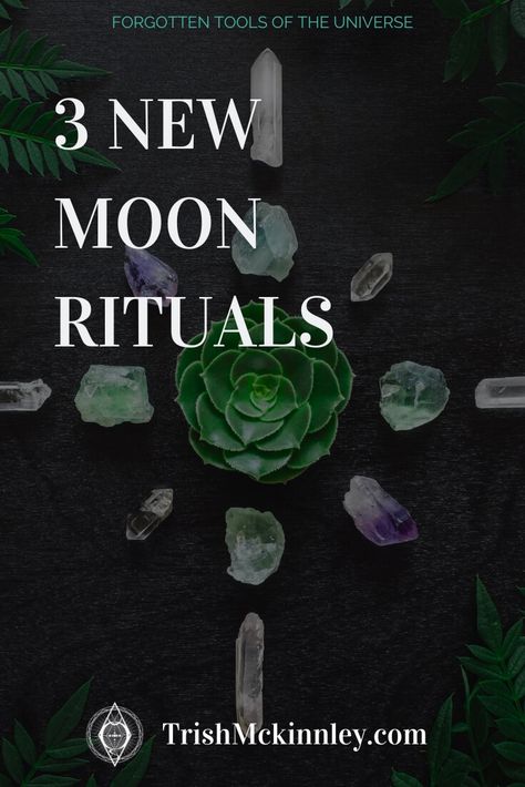 New Moon Rituals | 3 Easy, Simple & Powerful Steps | Trish McKinnley | The new moon brings fresh energy that's great for beginning manifesting. These 3 rituals will help you get clear on your desires and aligned with the energy you need to manifest what you want during this lunar phase. Click through to learn how you can take advantage of the lunar cycle. You've got this! Moon Ritual Ideas, New Moon Meaning, 13 Moons, Ritual Ideas, Jennifer Hall, Moon Food, New Moon Ritual, Moon Chart, Biddy Tarot