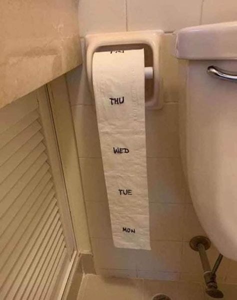 Toilet Paper Humor, April Fools Pranks, 1 April, Silly Jokes, Funny Cartoons, Funny Signs, Bones Funny, Toilet Paper, Really Funny