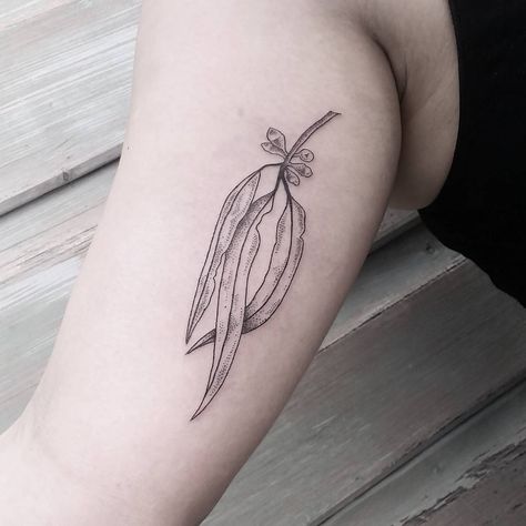 Eye Tattoo Wrist, Jake Tattoo, Balmain Sydney, Hanna Tattoo, Plant Tattoos, Small Watercolor Tattoo, Indian Feather Tattoos, Leaf Tattoo, Tattoo Wrist