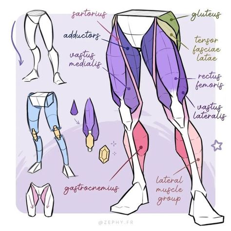 Leg Anatomy, Anatomy Tutorial, Výtvarn�é Reference, Human Anatomy Drawing, Body Drawing Tutorial, Siluete Umane, Human Anatomy Art, Anatomy Sketches, Body Reference Drawing