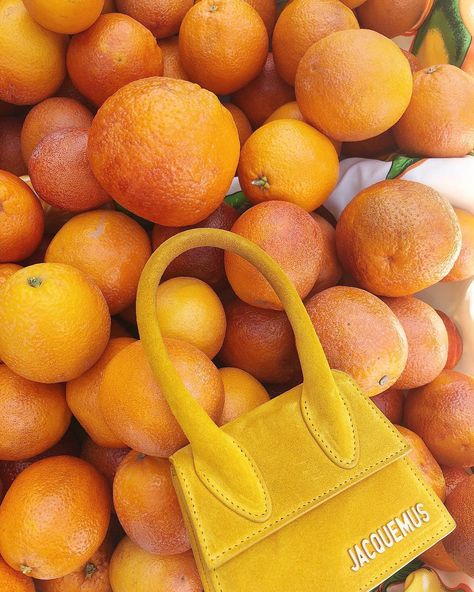 @therealreal on Instagram: “Bite sized 🍊 #Jacquemus 📷 @love.taylormarie” Jacquemus Clothes, Minimalist Aesthetic Outfit, Sustainable Fashion Photography, Jacquemus Le Chiquito, Jacquemus Bag, Suede Bag, Summer Wines, Bag Obsession, Prop Styling