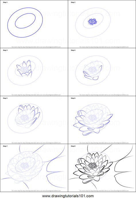 Draw A Flower, Koi Fish Drawing, Flower Step By Step, Flower Drawing Tutorials, Drawing Sheet, Flower Art Drawing, Flower Sketches, Floral Drawing, Plant Drawing