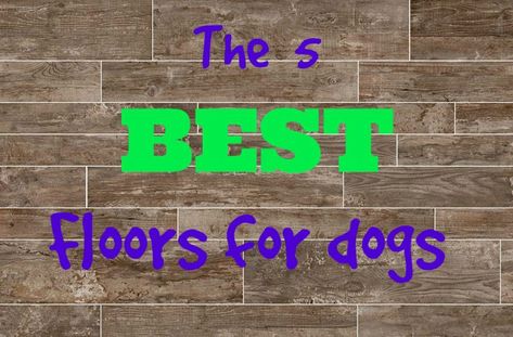 Best Flooring For Dogs, Best Floors For Dogs, Dog Friendly Flooring, Dog Kennel Mats, Dog Friendly Garden, Pet Friendly Flooring, Pet Turf, Ryan Homes, Homes Ideas